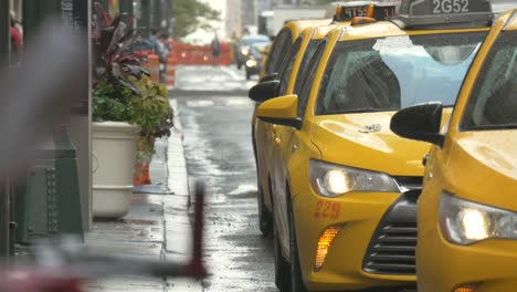 close up of wet taxis in new york