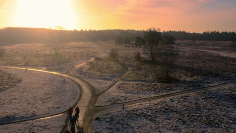 Menschen-Fahren-Im-Winter-Fahrrad-Auf-Groevenbeekse-Heide-In-Den-Niederlanden