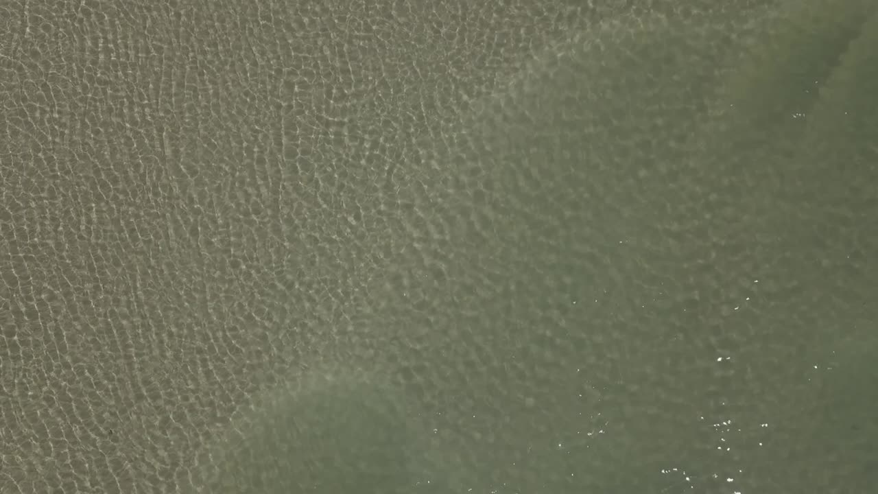 vertical alta: sombras moteadas por el sol en aguas claras y poco profundas del río