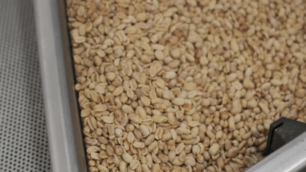 tostado de maní. operaciones de clasificación en la fábrica de nueces. línea de producción de envases de maní tostado