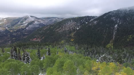 aerial shot of snow and trees in the mountains