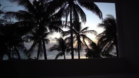 Palmeras-En-El-Viento-Con-Vista-Al-Mar-Al-Atardecer-En-La-Isla-Caribeña