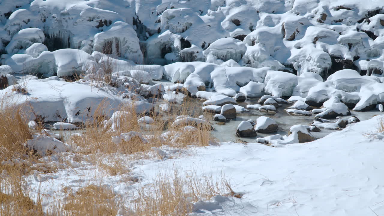 은 날씨에 겨울의 숲에서 얼어붙은 얼음의 하천