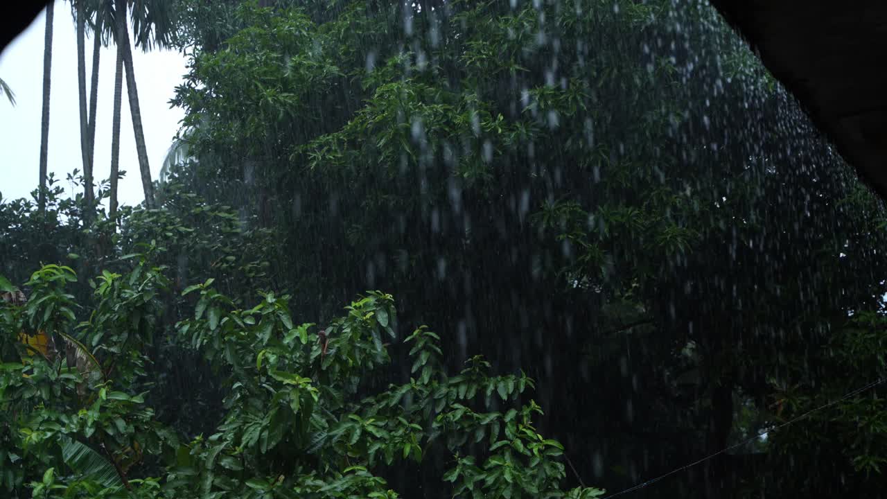 In the rainy season, eastern India receives heavy rainfall during the rainy season