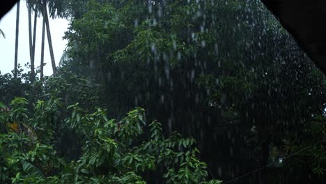 in the rainy season, eastern india receives heavy rainfall during the rainy season