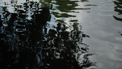 Wasser-Plätschert,-Reflektiert-Den-Blauen-Himmel-Und-überhängende-Bäume