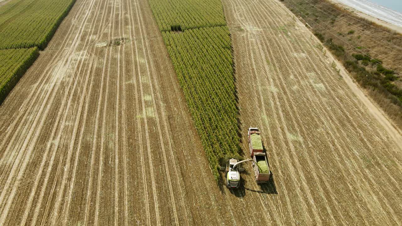 una toma de drone de una cosechadora en un campo de maíz. la cámara se inclina hacia arriba y el enorme campo está expuesto. un depósito de agua para el riego, un paisaje agrícola que se extiende hasta el horizonte.
