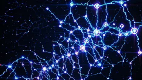 visualización de las redes neuronales