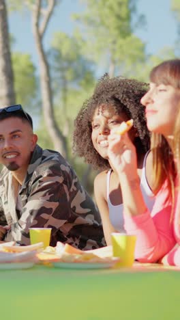 friends enjoying an outdoor picnic or gathering