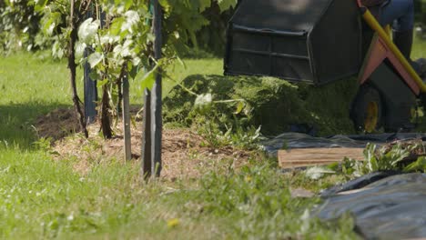 Fahren-Sie-Mit-Einem-Rasenmäher-Und-Werfen-Sie-Geschnittenes-Gras-In-Den-Garten