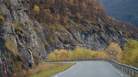 a narrow asphalt road in the autumn landscape