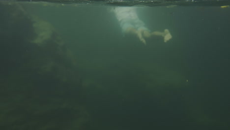 person diving underwater