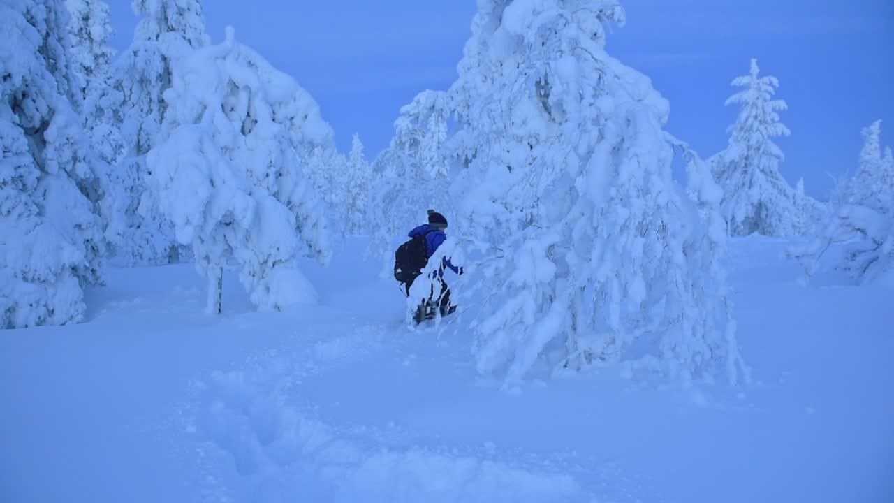 A Man In Blue Winter Clothes Knee-Deep Walking In The Snow In The Region Of Lapland, Finland. -wide shot