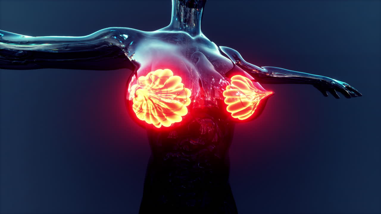 빛나는 유방선과 함께 인간 몸의 과학 해부학