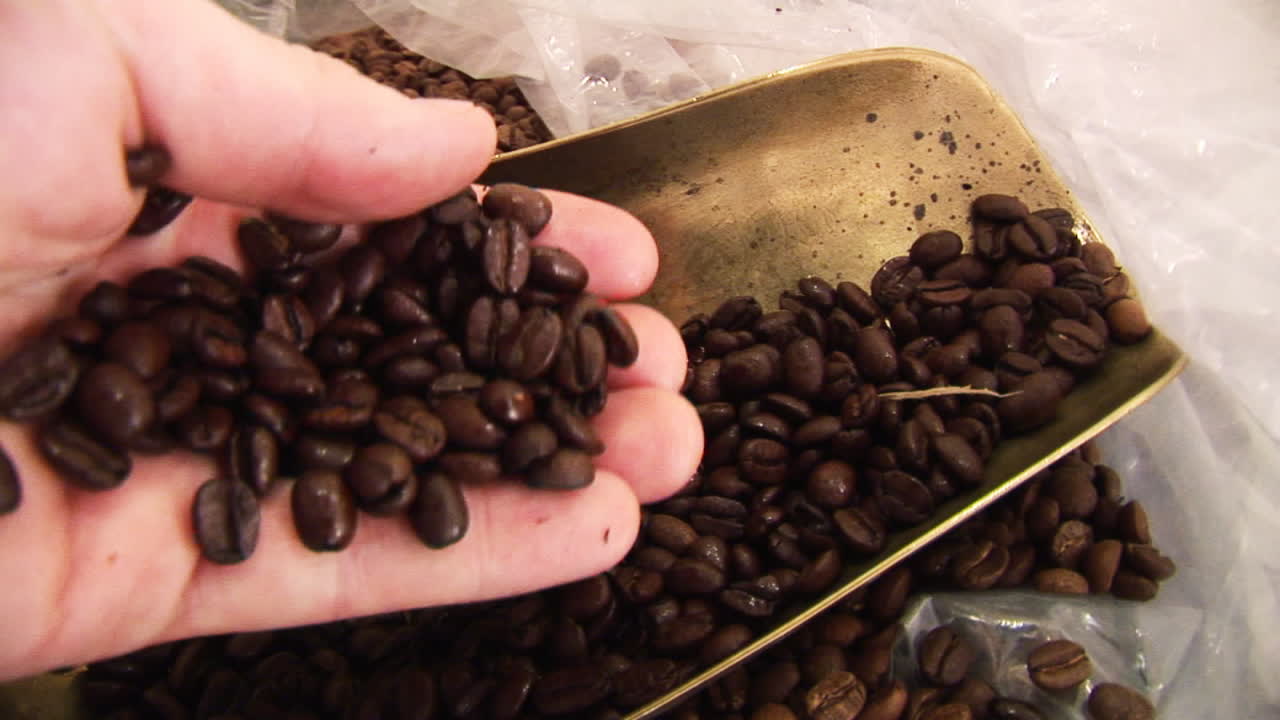 커피 콩 3