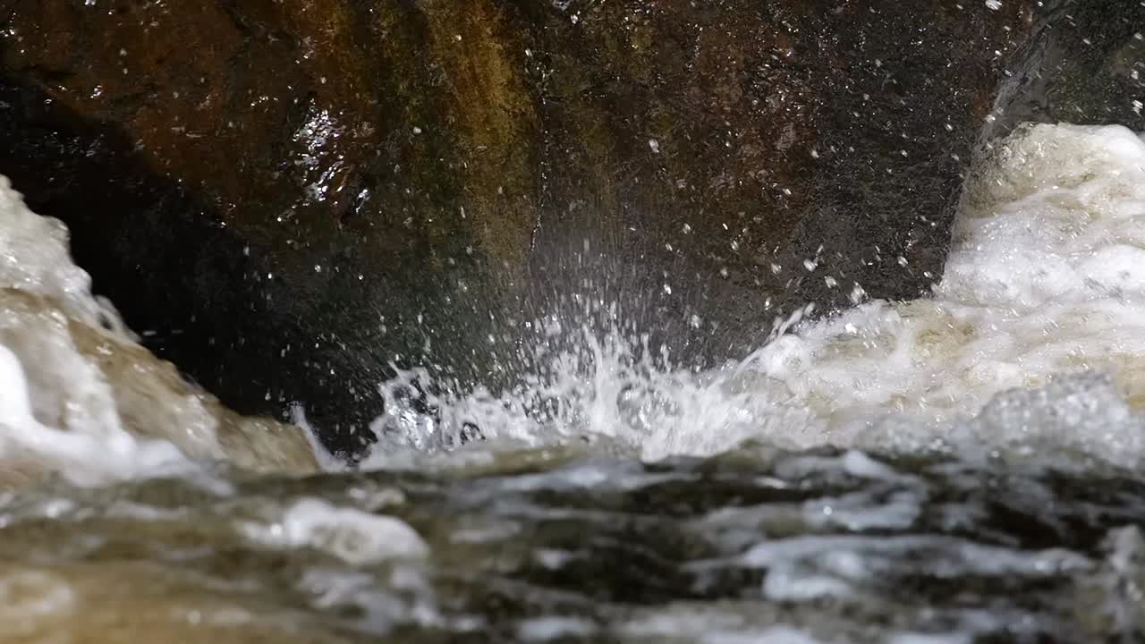 Two large silver atlantic salmon leaping up the waterfall to reach the spawning grounds in a river in Scotland