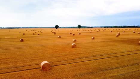 Aerial-view-of-a-large-industrial-brown-field-with-many-hay-bales-in-4K