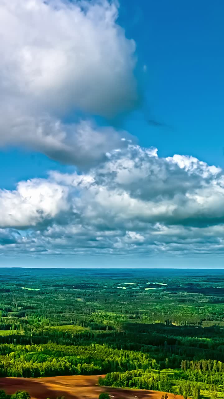Time-lapse of fast-moving clouds casting shifting light across vast forest landscape in Latvia