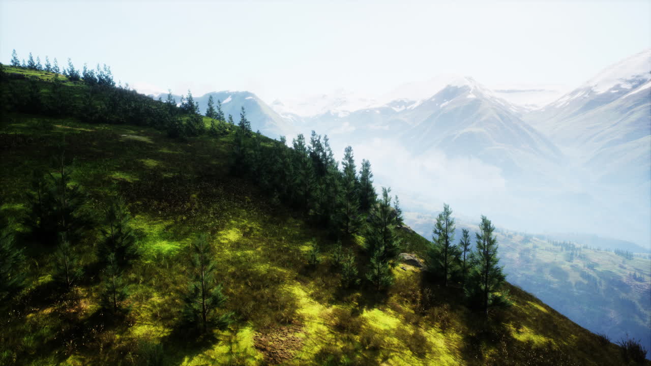 vista aérea de montañas y árboles en los alpes austriacos