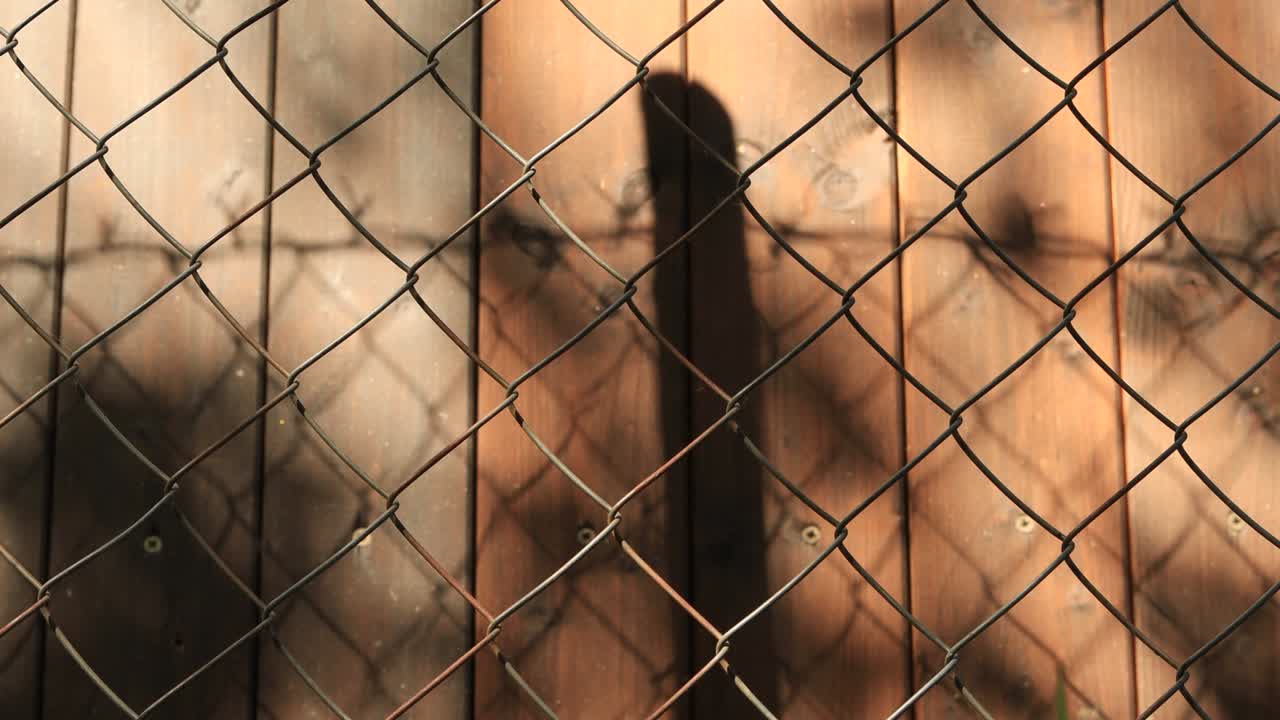 wire fence in front of the cottage