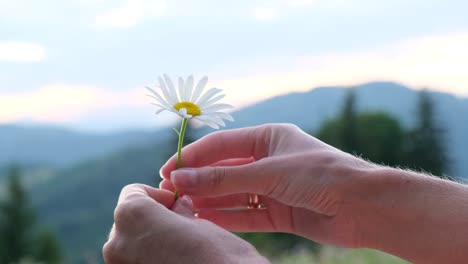 Smiling Girl in Folk Clothing with Daisies and Sunset Light on her Face Closeup of a Cheerful Girl in Embroidered Clothing Smiling in Warm Evening Sunlight while another Girl behind her Holds a Bunch of White Daisies Playfully