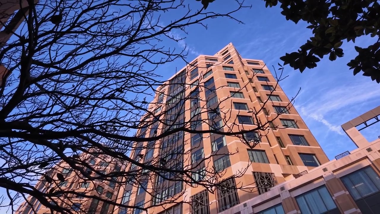 Facciata moderna dell'Edificio Federale Ronald V. Dellums e Tribunale degli Stati Uniti a Oakland, California, con rami di alberi in silhouette contro un cielo azzurro limpido in una giornata di sole.