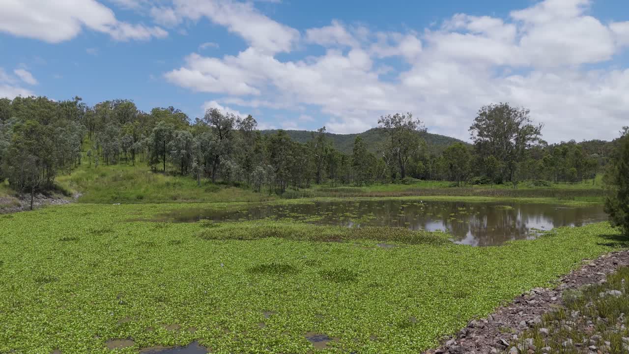 paisaje panorámico de los humedales australianos