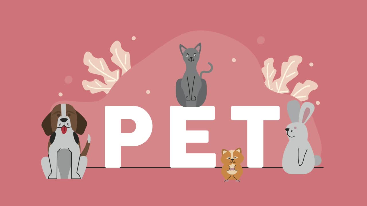 애완동물 및 글자 캐릭터 애니메이션