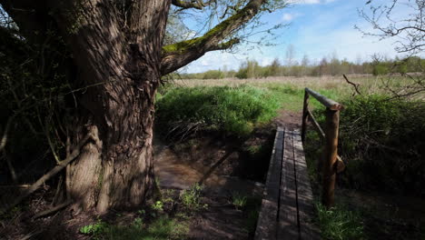 una pasarela de madera que cruza un pequeño arroyo en la campiña de warwickshire, inglaterra