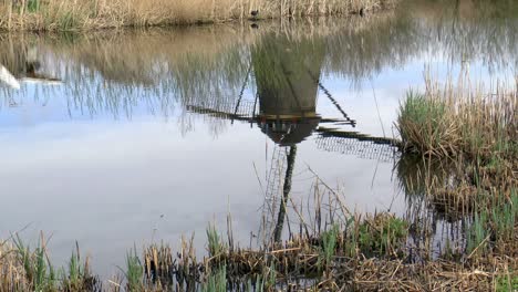 reflejo del molino de viento holandés