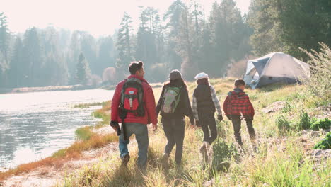 padres con dos hijos caminando cerca de un lago rural, vista trasera