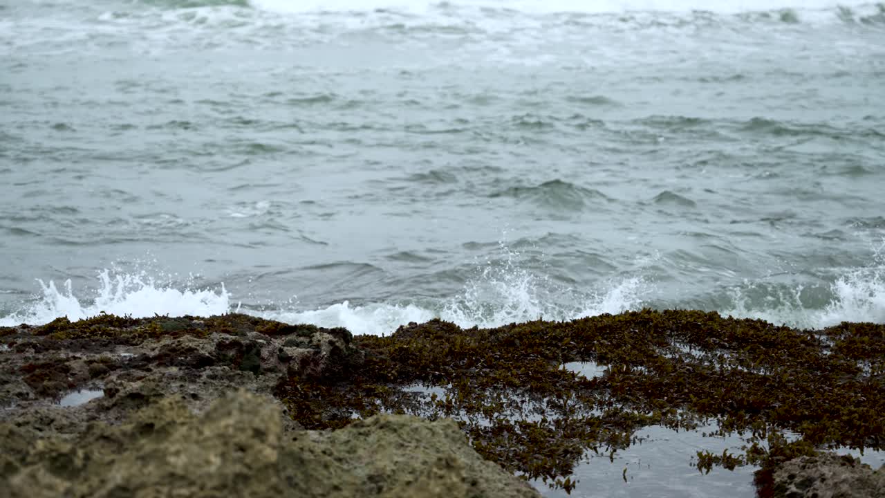 강력한 바다 파도가 모스로 인 바위에 부히면서 해안선에 백수 스프레이와 거품을 만들어 니다.