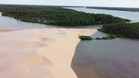 Toma-De-Drone-De-Un-Banco-De-Arena-Junto-A-La-Jungla-En-Un-Delta-Brasileño