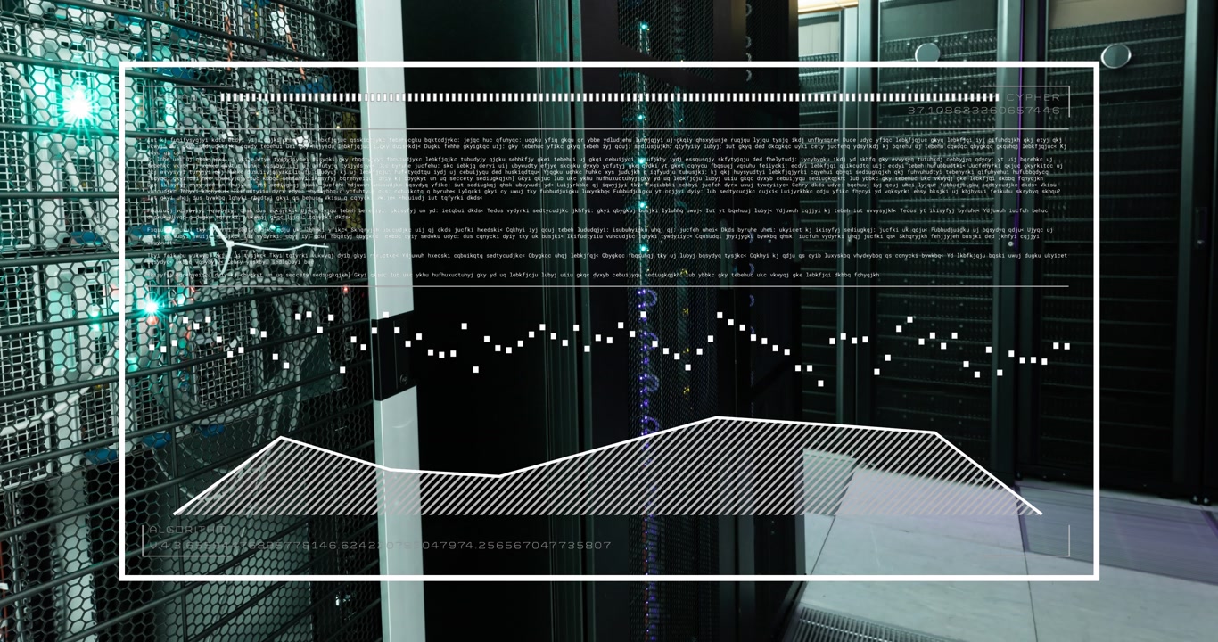 Animation of data processing over computer servers