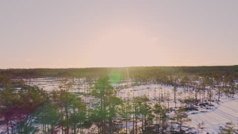 Amanecer-De-Invierno-En-El-Pantano