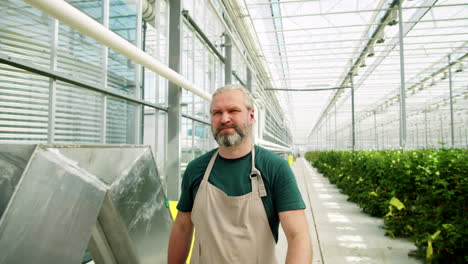 bearded man walking in flower greenhouse