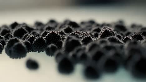 close-up of spiky black seeds