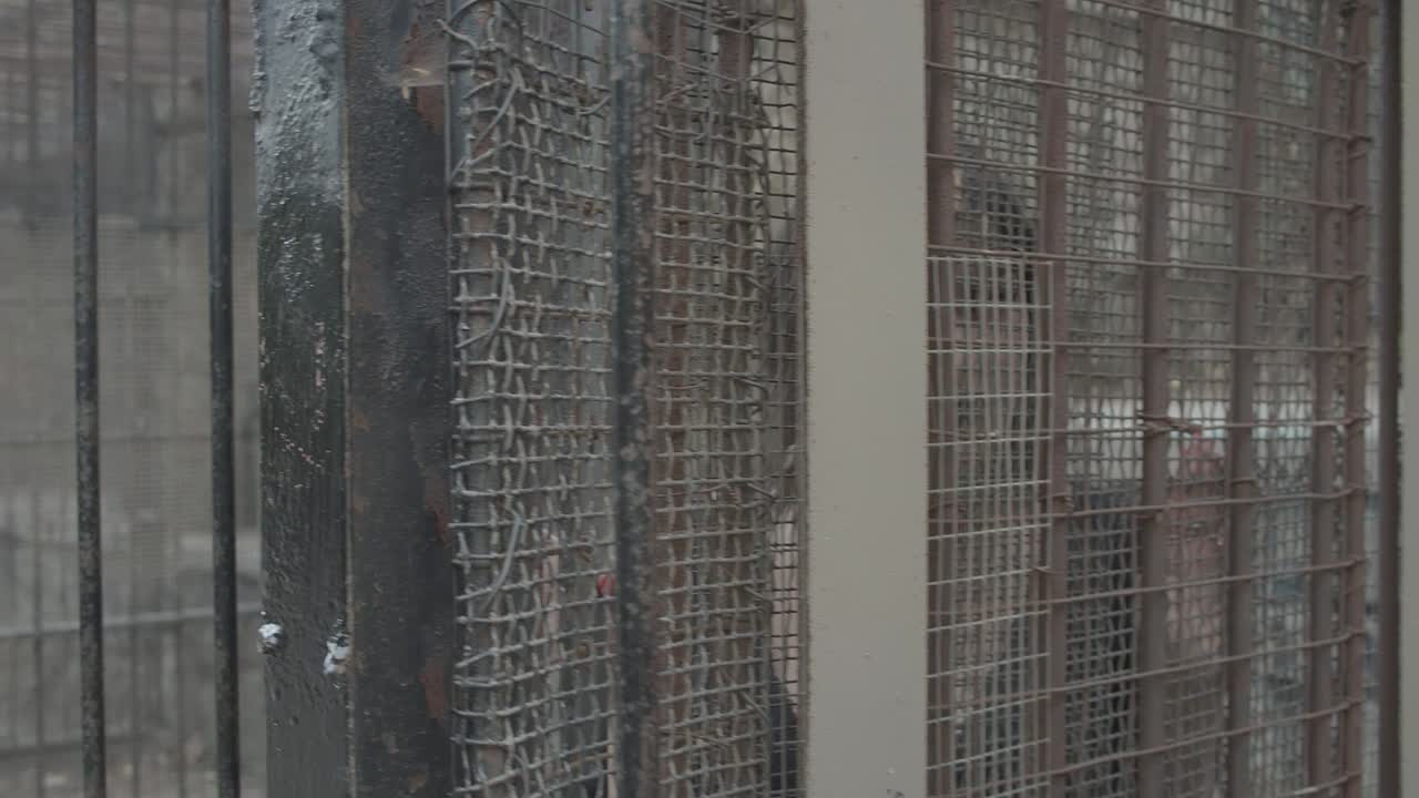 카메라를 찾고 감옥에 철창 뒤에 젊은 미친 고딕 여자