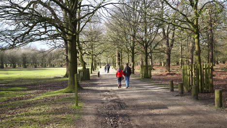 una pareja camina del brazo, juntos en dunham massey, una casa georgiana, un jardín para todas las estaciones y un antiguo parque de ciervos, parte de la membresía del national trust.