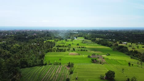 Panoramic-aerial-overview-of-agricultural-fields-of-Katiasa-area,-Bali,-Indonesia