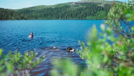 Person-Swimming-With-His-Pet-Dog-At-The-Blue-Sea-With-Forest-Mountain-Background