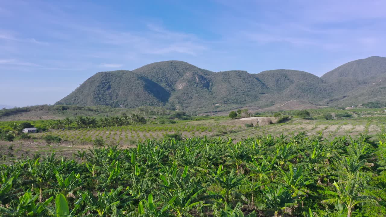 Campo agricolo con lussureggianti colline verdi nella città di Las Yayas de Viajama nella Repubblica Dominicana - ripresa aerea con drone.