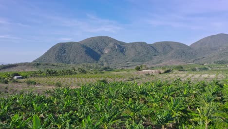 campo agrícola con exuberantes colinas verdes en la ciudad de las yayas de viajama en república dominicana - toma aérea de drones