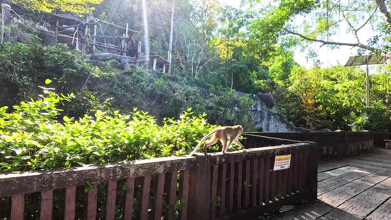 나무 울타리를 따라 는 원이