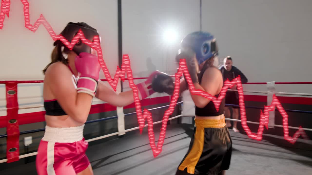 Pink-shorts boxer starting sparring, opponent entering ring, red graph fluctuating, for training