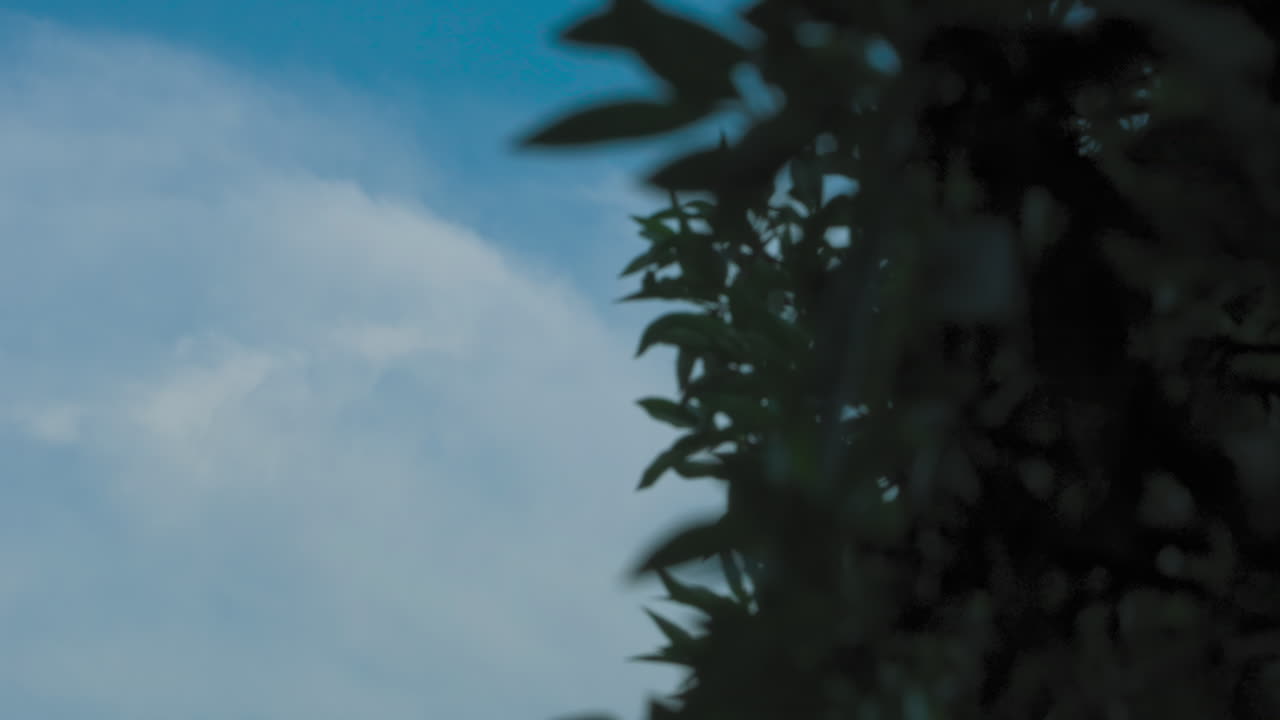 Waning Gibbous moon before sunrise