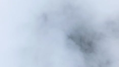 fondo gris claro borroso