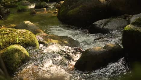 calm water stream in ponta do sol, madeira island, portugal