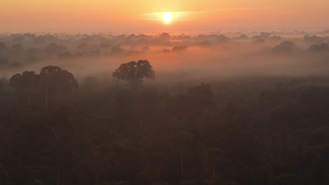 Un-Colorido-Manto-De-Niebla-Cubre-Una-Selva-Tropical-Durante-Un-Amanecer,-Toma-Panorámica