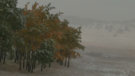 Espenbäume,-Offener-Raum,-Immergrün,-Colorado,-Erster-Schnee,-Grasbewachsenes-Feld,-Rotbraun,-Pferdestall,-Luftaufnahme,-Drohne,-Herbst,-Herbst,-Winter,-Schneesturm,-Verschneite,-Felsige-Berge,-Vorderes-Gebirgszug,-Denver,-Historische-Stadt,-Offenbaren,-Folie-Nach-Rechts